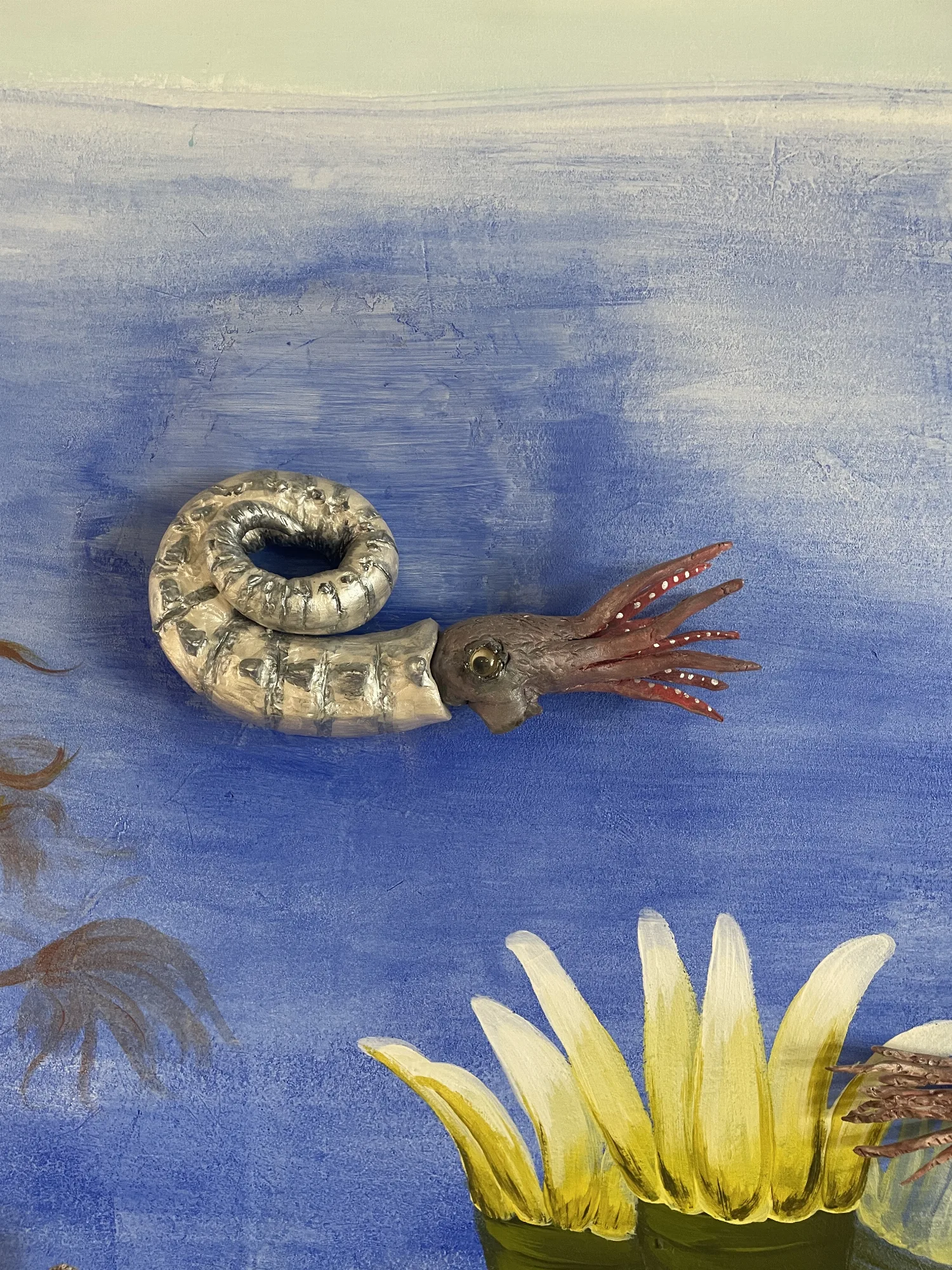 Cephalopoden
