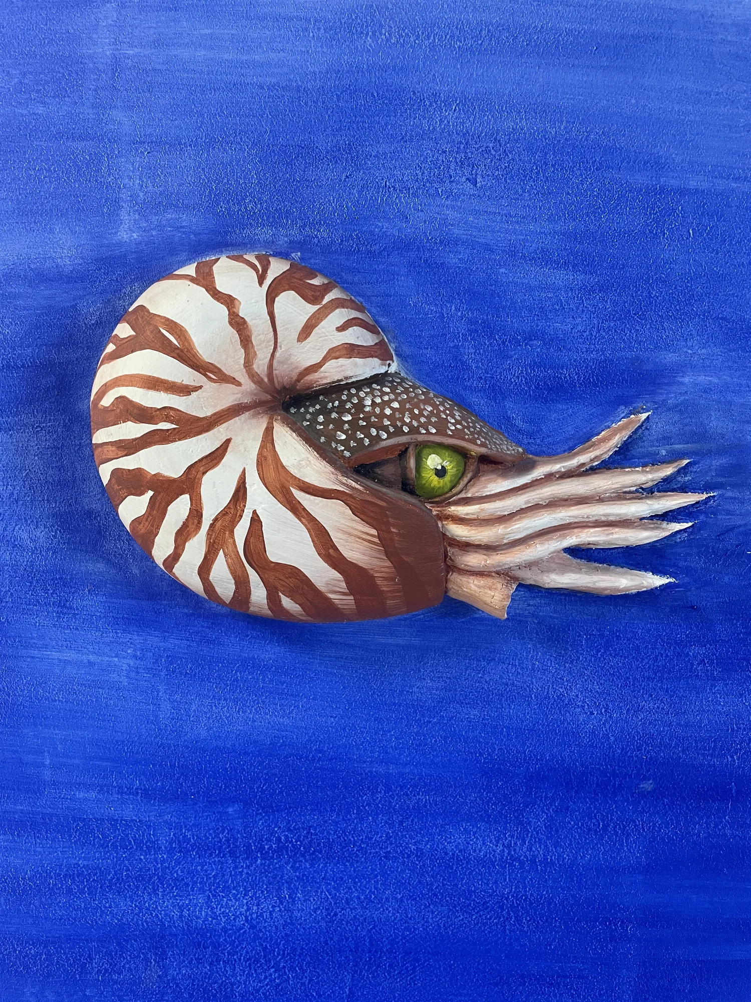 Cephalopoden